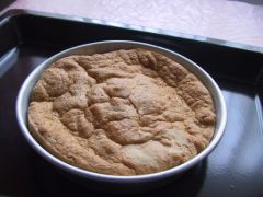 Photo_046.jpg