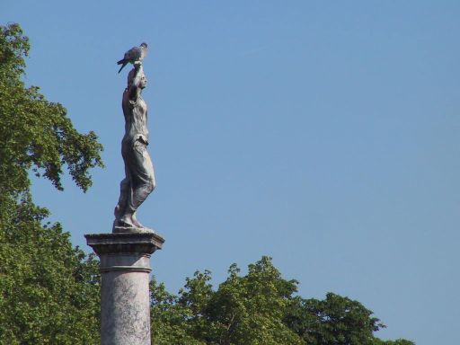 IMG_3801.jpg
